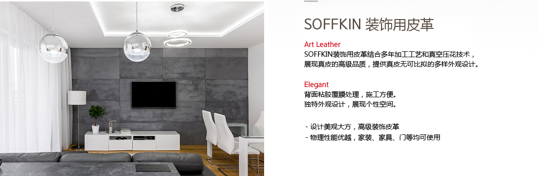 Interior Leather